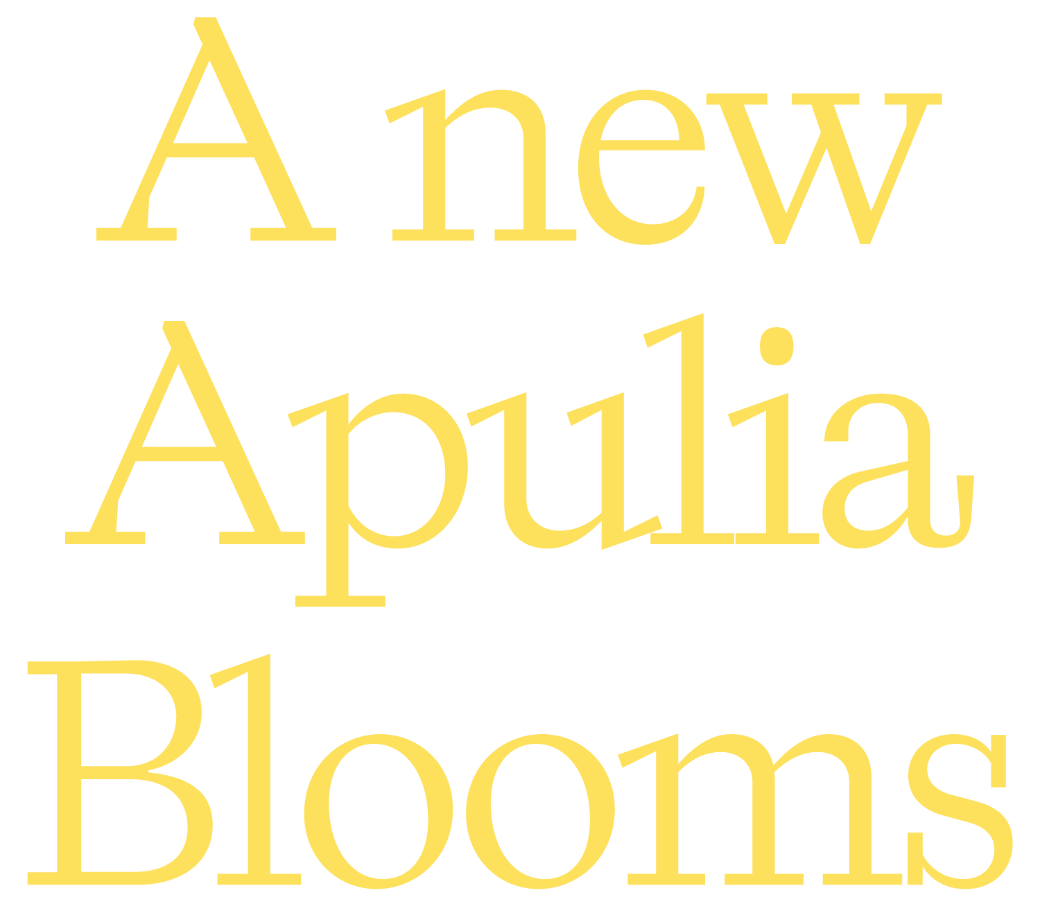 Immagine al centro della pagina