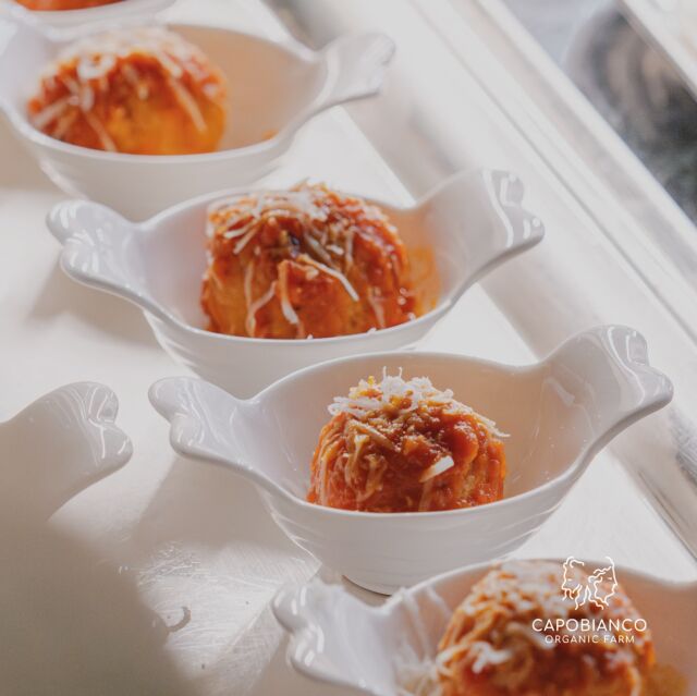 Ricette vegetariane 🌱 

Polpette di pane con Passata di Pomodoro Ciliegione Bio e cacioricotta 😋 

Apulian delights 🍝🤍

#PomodoriBio #OrganicFarm #Puglia #Apulia #Tomatoes